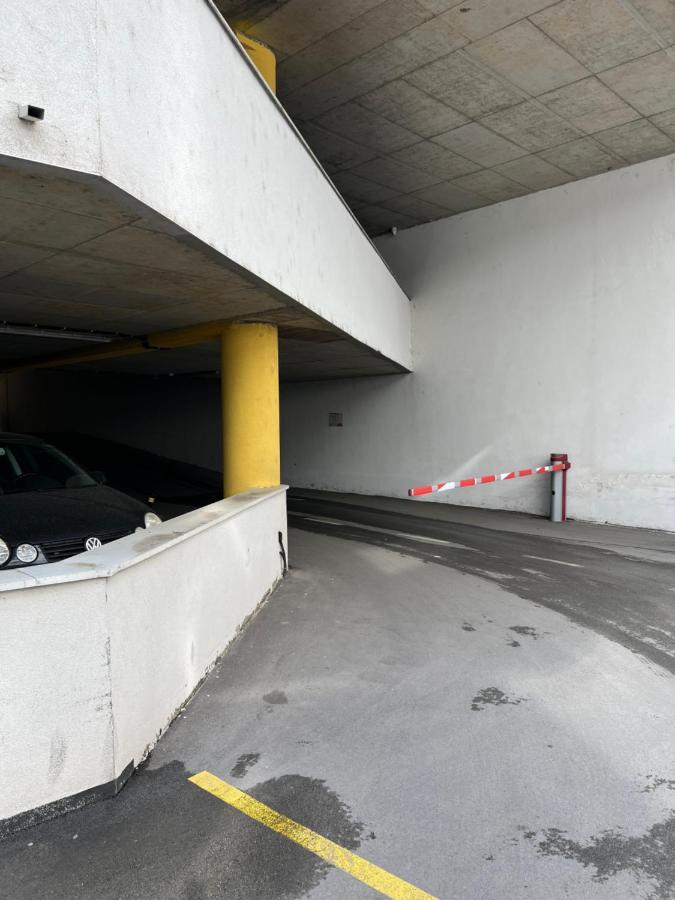 Apartman Didi2- Free Private Parking-Garage Novi Sad Bagian luar foto