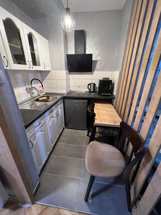 Apartman Didi2- Free Private Parking-Garage Novi Sad Bagian luar foto