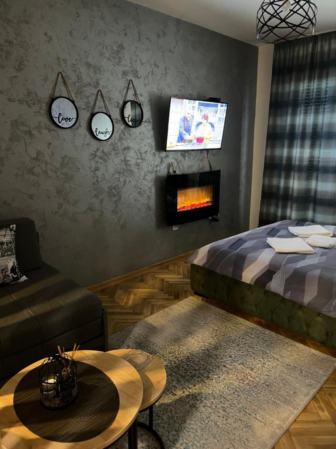 Apartman Didi2- Free Private Parking-Garage Novi Sad Bagian luar foto