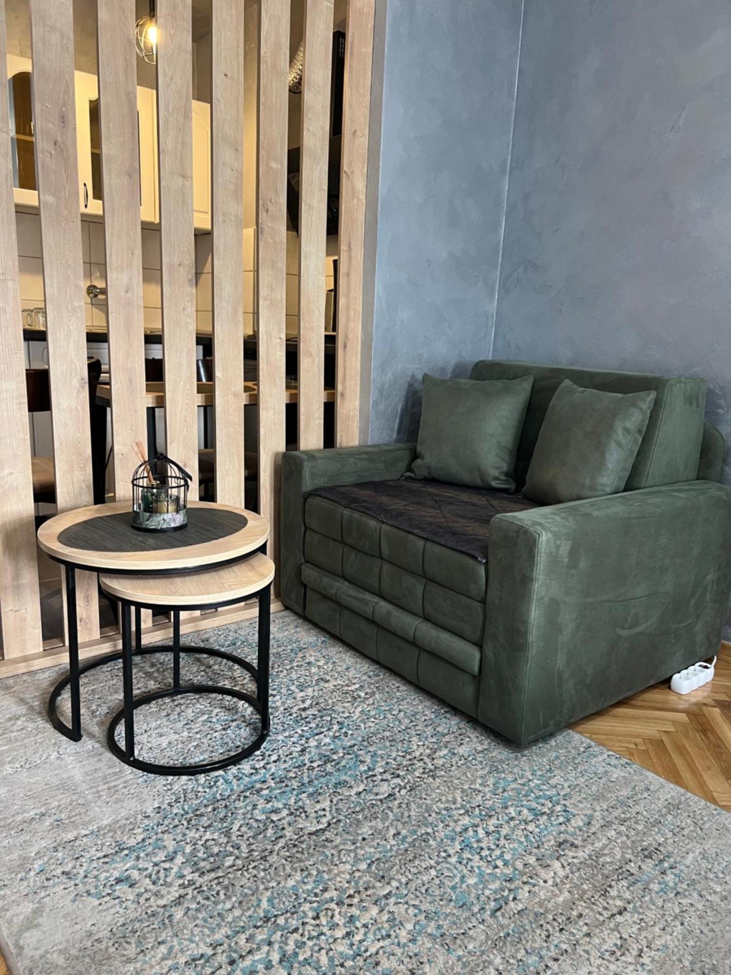 Apartman Didi2- Free Private Parking-Garage Novi Sad Bagian luar foto